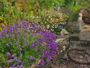 A Jan Hoyland garden Design