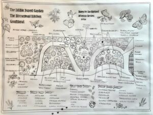 A Jan Hoyland Garden design