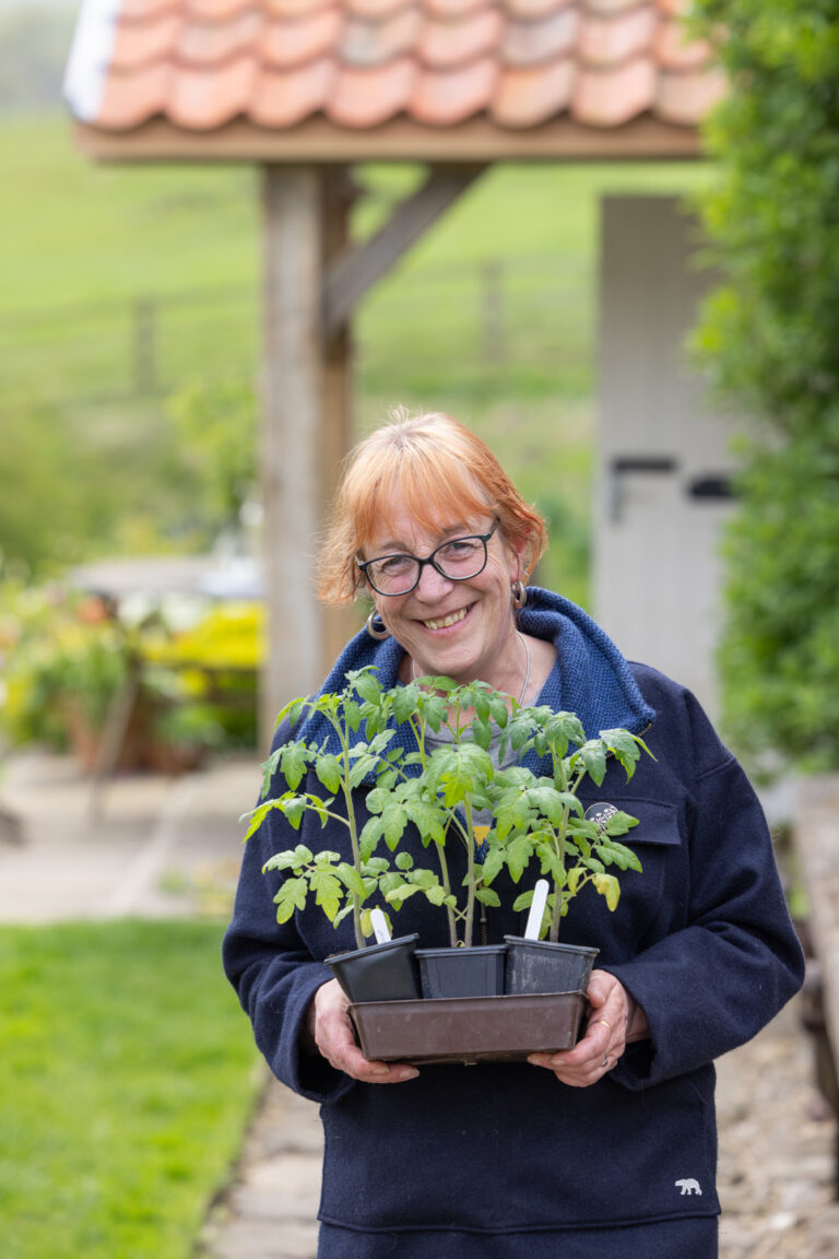 jan-potting-plants